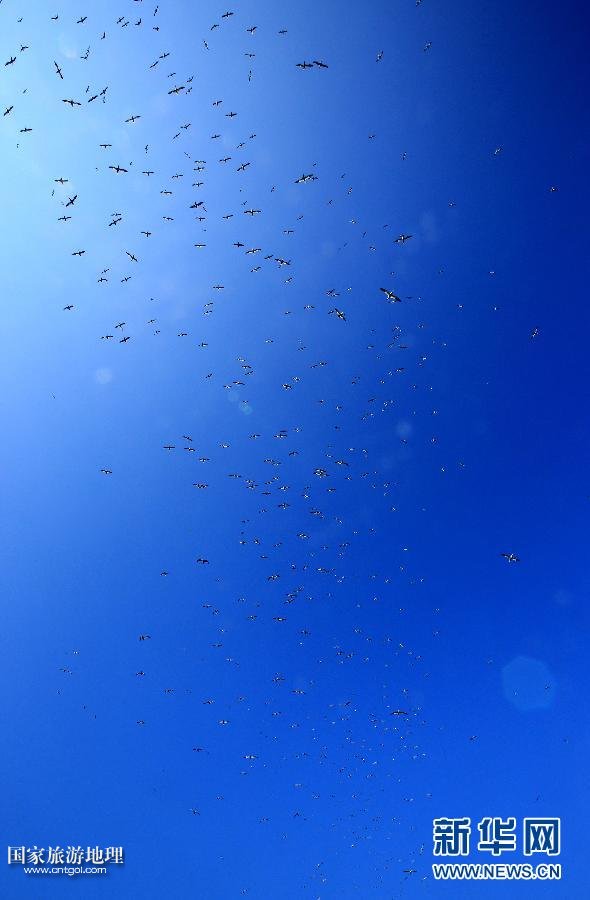 （國際·關注文化遺產）（11）聖基爾達島：被遺棄的文明